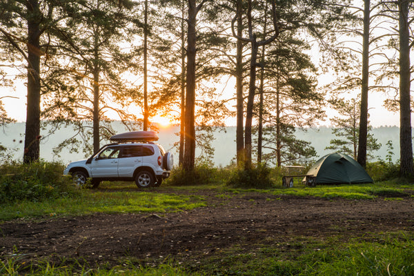 The Ultimate Packing List for Self-driving Camping with Family or Friends