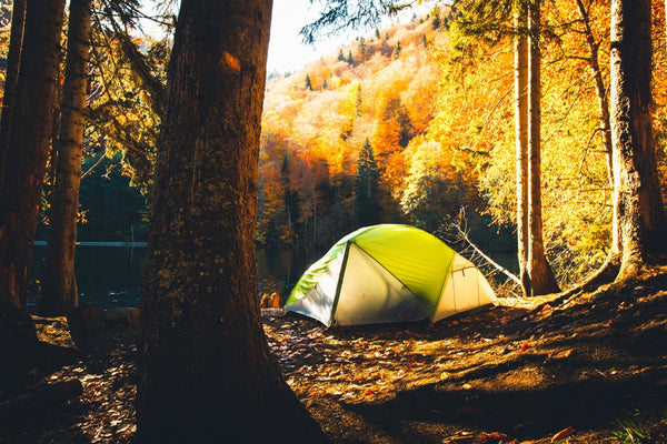 8 Best Fall Foliage Camping Destinations