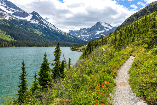 10 Best Spring Hiking Locations in the US